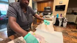 Foley Catheter Insertion