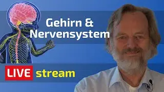 Grundlagen der Sch&uuml;&szlig;ler-Salze | Thema: Gehirn & Nervensystem | Friedrich Depke | Biochemie