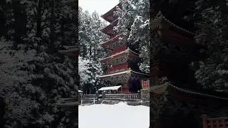 Nikko Toshogu Shrine in Snow &ndash; Tokugawa Ieyasu&rsquo;s Legacy!❄️🏯