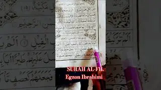 🐘 Surah Al-Fil 📖 The Elephant - Miracle of Allah ✨ Powerful Recitation by Egzon Ibrahim #Shorts