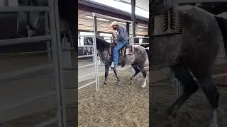 Открытие и закрытие ворот верхом на лошади | Прогулочные лошади