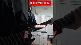what a whammy bar sounds like #sample #demo #test #guitar #metal 1LIFE2ROCK  10-15