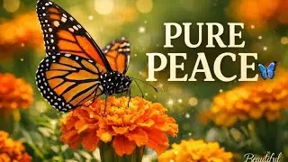 A Monarch Butterfly Chose My Garden 🦋 | Pure Peace