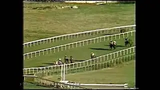 1980 Massey Ferguson Gold Cup Bueche Giorod