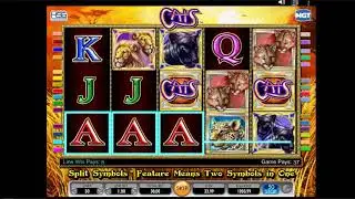 Cats Online Slot by IGT | Neonslots.com