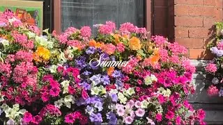 summer, a video diary 💐 working at concerts, june/july days
