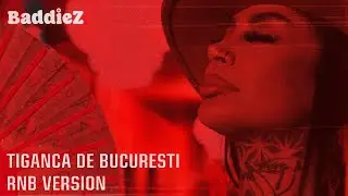 IULY NEAMTU - TIGANCA DE BUCURESTI (R&B Version) by BaddieZ