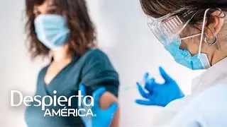 Cuarta dosis de la vacuna contra covid-19 &iquest;cu&aacute;ndo debe una persona volver a inmunizarse? | DA