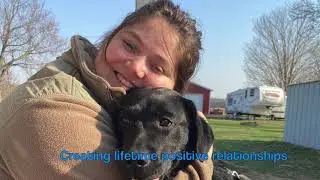 Click! Pawsitive Dog Training Demo Video