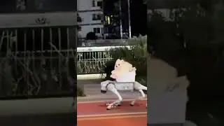 A tourist sees robot dog walking a dog on street of Chengdu