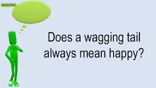 Does A Wagging Tail Always Mean Happy?