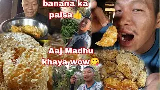 Aaj banana Lene aya Asam se 🙏  || or organic Madhu khaya wow 🤗🤗😋😋😋