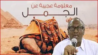 Qisadii Nebi Yacquub Cs |   Sheekooyinka Quraanka  |  Axmed Faarax Cali Idaajaa.