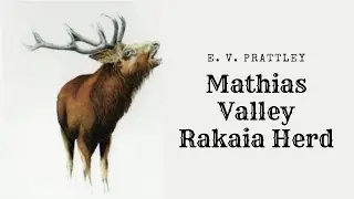 The Rakaia Herd E  V  Prattley; Mathias Valley, Rakaia River Catchment 1996