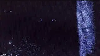 Dennis Nedry (Jurassic park VHS tape horror)