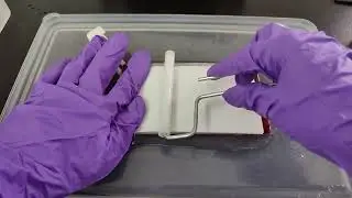 Operation of E-Blotter _ Bioscience Wealtec