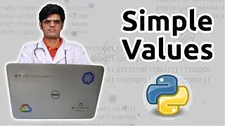 SIMPLE VALUES (Boolean, Integers, Floats, Special Values & Strings)- Python for Bioinformatics
