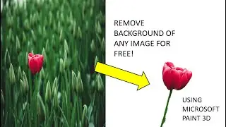 Remove your photo's background using Microsoft paint 3D!