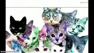 MEOWMANIA!!