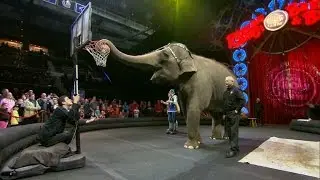 Ringling Bros. ends circus as ticket sales plunge