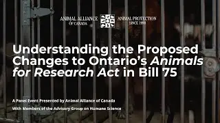Understanding the Proposed Changes to Ontario's Animals for Research Act in Bill 75