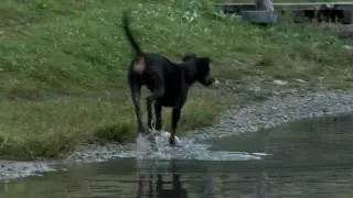 Wasserspiele mit Storm