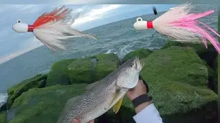 USANDO MIS PROPIOS BUCKTAILS PARA ATRAPAR BLUES Y WEAKFISH