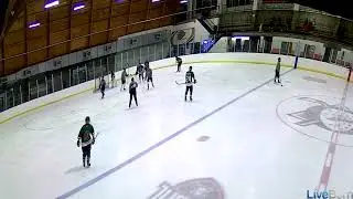 Stark Goals - Jan 24, 2026