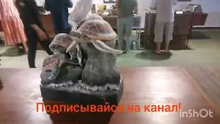 Ужин на Шри-ланке. Отель ве Палмс. Берувела.