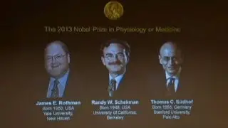 Two Americans and a German share Nobel prize for medicine