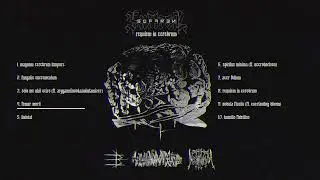 SUFFREN - Requiem In Cerebrum (Full Album Stream) #blackmetal #breakcore