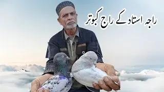 Aala Nasal Kay Kabootar (Raja Ustad Kay)