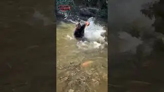One Pull&hellip; INSTANT MONSTER HARVEST?! #shorts #fish #fishing #trending #amazing #viralvideo