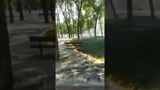 Poplar fluff burning