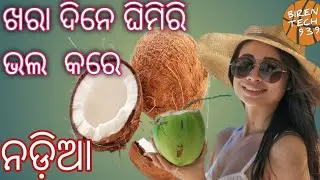 🥥🥥 ନଡ଼ିଆ // ନଡ଼ିଆ ଚଟଣୀ // ନଡ଼ିଆ ର ଉପକାରିତା // ପଇଡ଼ ପାଣି // Nadia ra upakarita // Nadia recipe