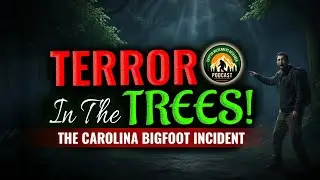Ужас Бигфута на деревьях: инцидент с Бигфутом в Каролине #bigfoot #cryptids #sasquatch