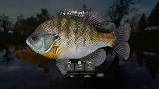 Elk Lake, fishing pc, Russian Fishing 4, no talking stream