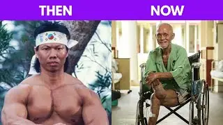 Evolution of Martial Arts Cinema | Iconic Stars Through the Decades