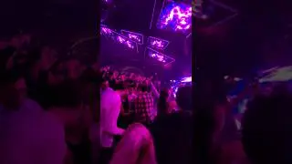 Zouk Nightclub Deadmau5 #lasvegas #party #edm #shorts #music