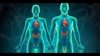 ENDOCRINE SYSTEM | RADIOLOGY | HISTOLOGY | ANATOMY | OVERVIEW INTRODUCTION