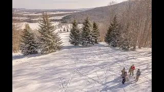 Freeland ~ A White Grass Story