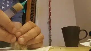 Hand feeding , 1 day old baby pigeon