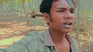 Plant of rubber//Karnataka farming//Odia & Hindi mixed vlog//Jay Shri Ram, Jay maa pattashree,