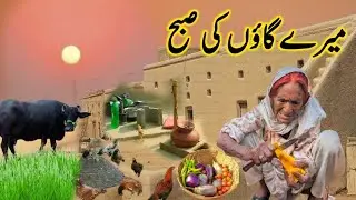 Morning Routine 🌄 In My Village | Making Traditional Breakfast | Pakistan Village Life