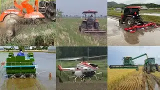 Agricultural technology / Modern rice plants