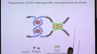Dr. Sean Colloms | Topology of Xer site-specific recombination