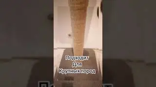 Когтеточка столбик  Гигант с полочкой. Арт. 15013