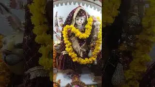 माता रानी काकीर्तन जब मैने,भजन सुनाया 🙏🙏🙏🚩🚩