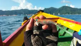 Tempat Mancing Cumi Tersembunyi di Pulau ini 🦑