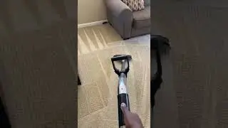 Steam cleaning carpet  I love my job